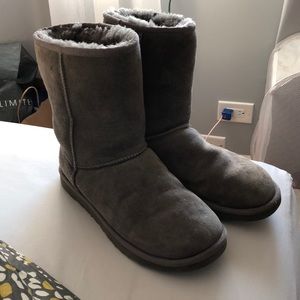 gray uggs